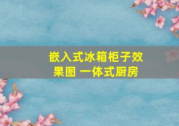 嵌入式冰箱柜子效果图 一体式厨房